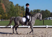 mistydressage.JPG